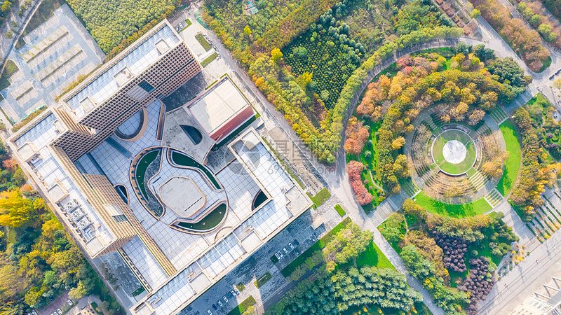 成都电子代工：探寻优缺点，把握行业脉搏