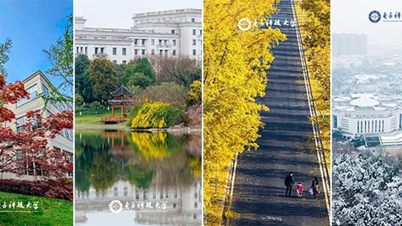 电子配件批发价格，揭秘影响价格的关键因素