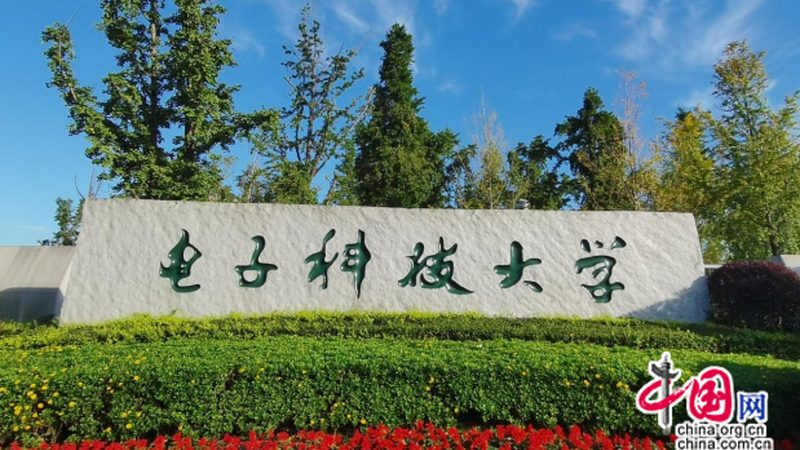 揭秘电子代工行业：十大品牌背后的规范与标准